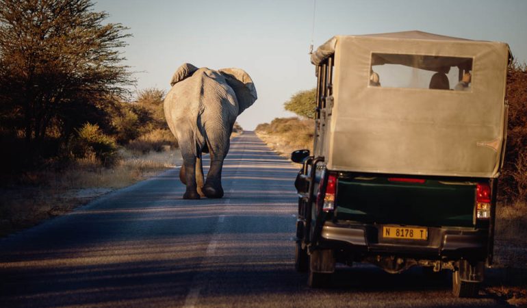 10-Days luxury tour to South Africa & Namibia