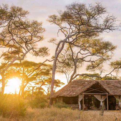 africa-travel-safari-camps