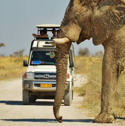 africa-travel-safari-namibia-01-500