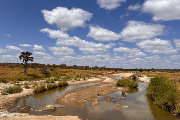 8 Days ‘Special Needs’ Family Safari – Tanzania