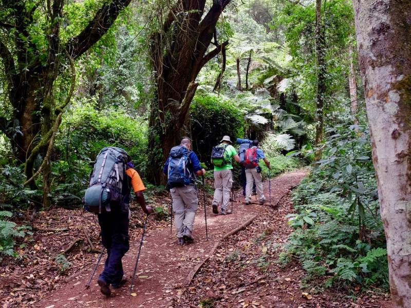 climb-kilimanjaro-via-lemosho-route-africa-travel