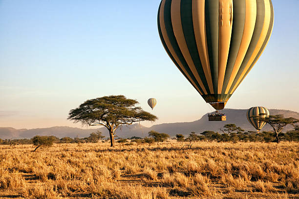 Classic 10-Day Tanzania Family Safari