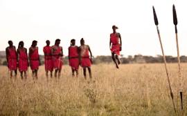 why-choose-2-4-africa-travel-safari