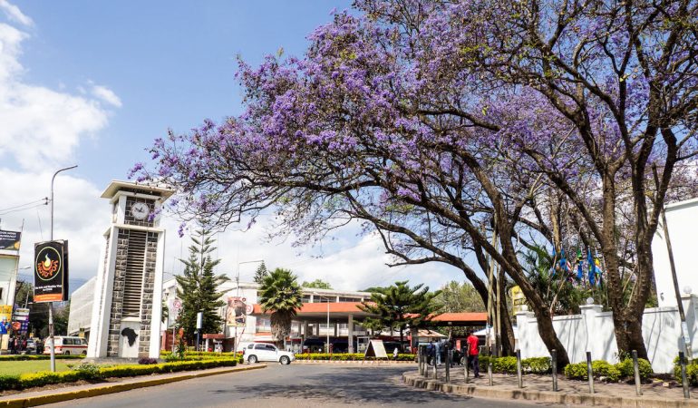 Day Tour in Arusha Tanzania